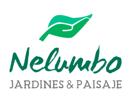 Nelumbo